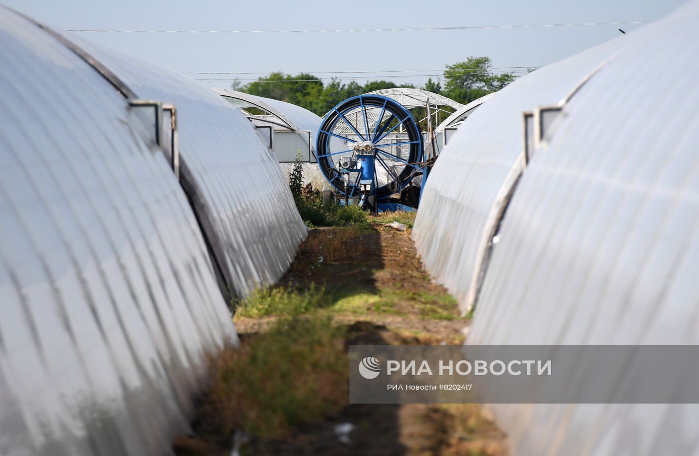 Фермерские хозяйства в Мелитопольском районе