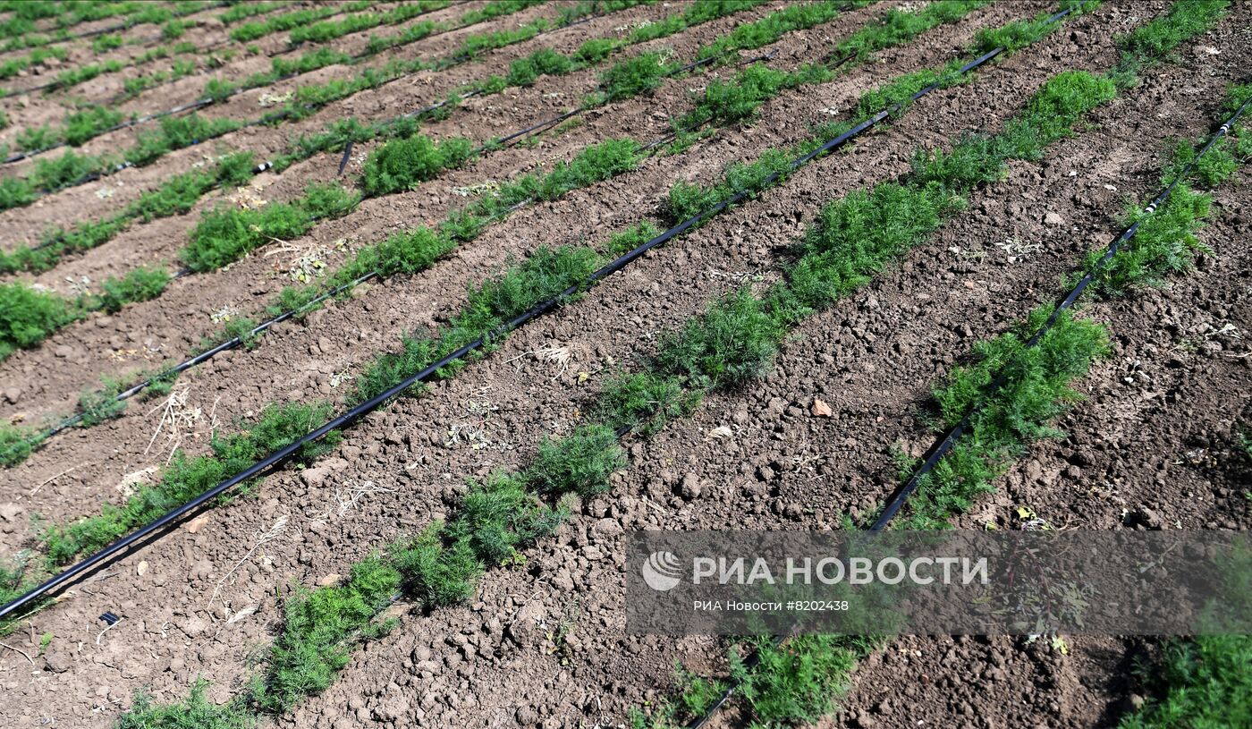 Фермерские хозяйства в Мелитопольском районе