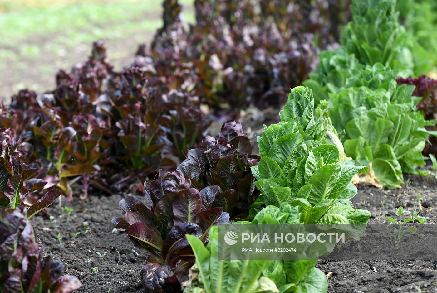 Фермерские хозяйства в Мелитопольском районе
