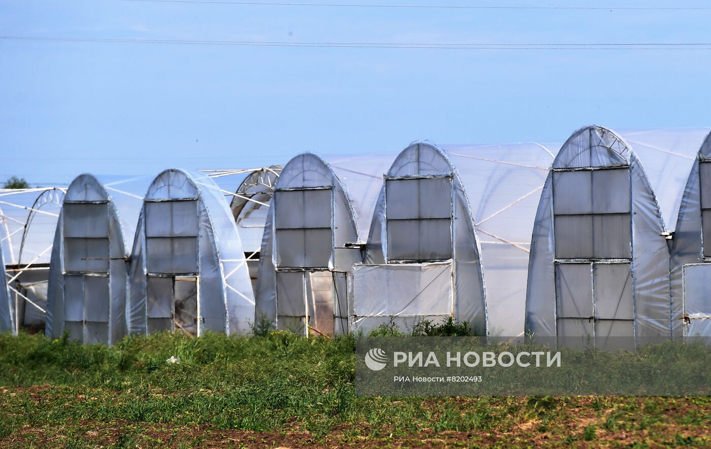 Фермерские хозяйства в Мелитопольском районе