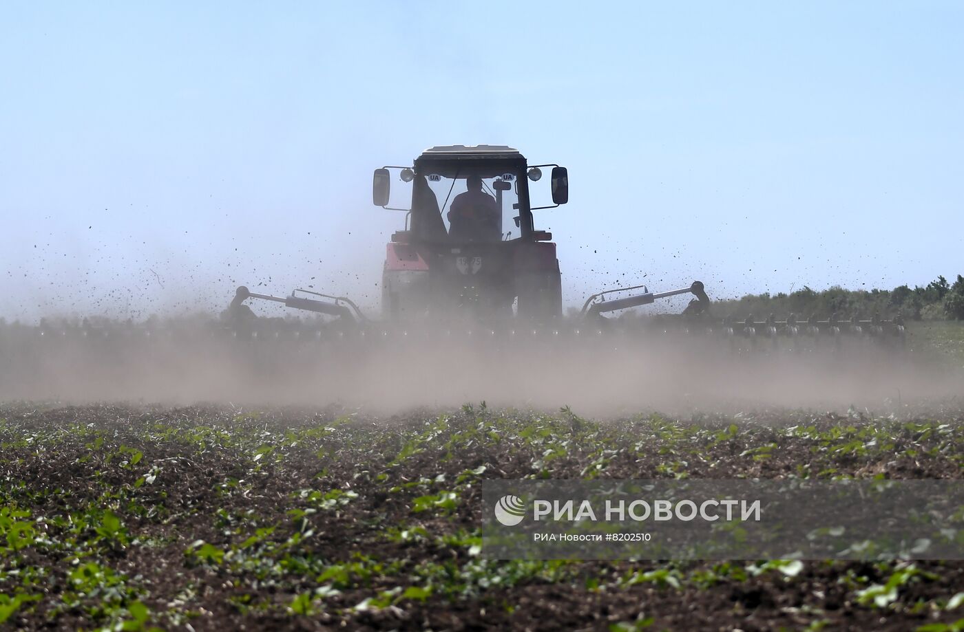 Фермерские хозяйства в Мелитопольском районе