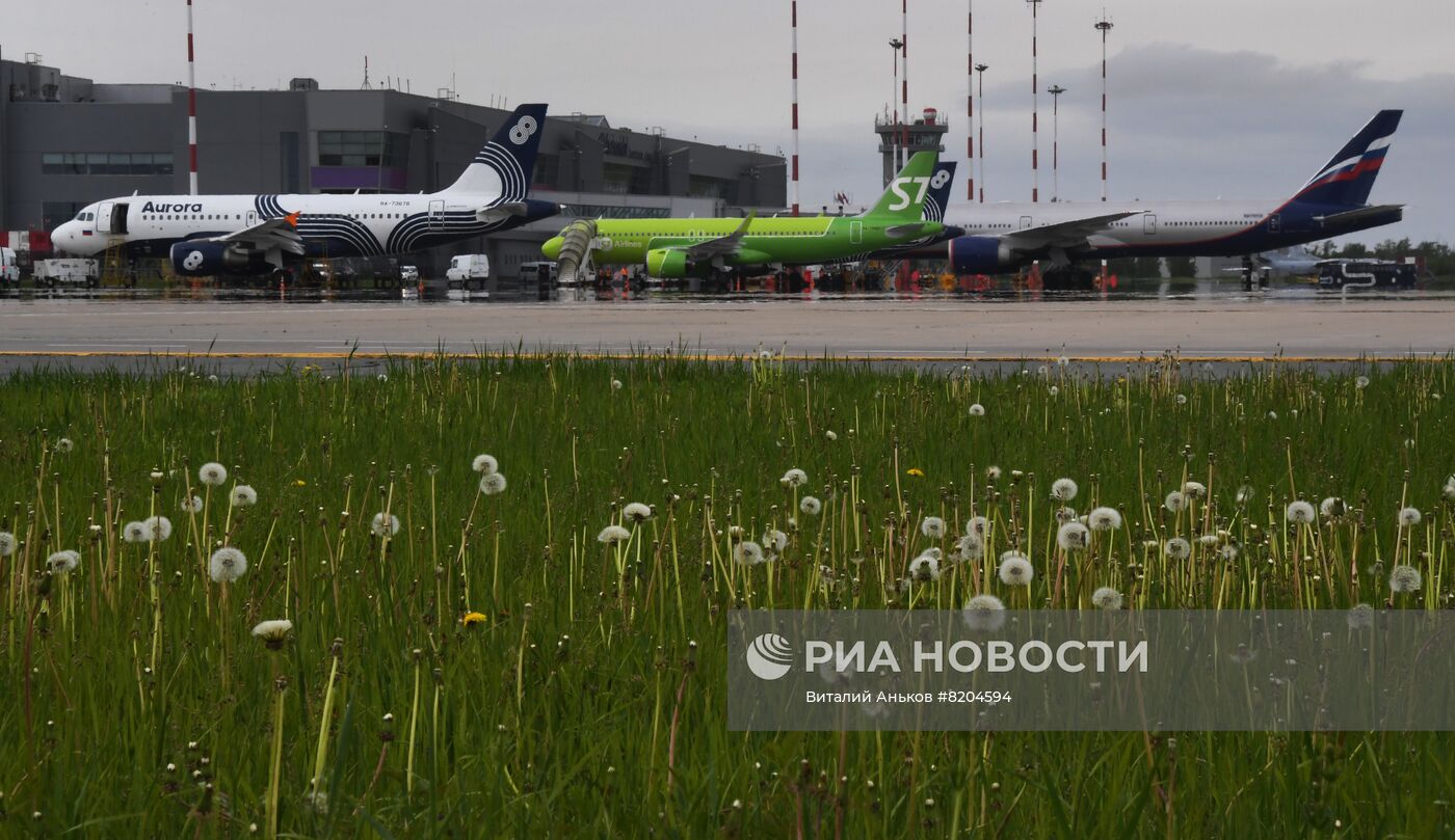 Авиаспоттинг в Международном аэропорту Владивостока