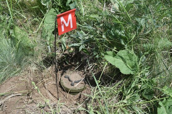 Разминирование ЛЭП вблизи Мариуполя