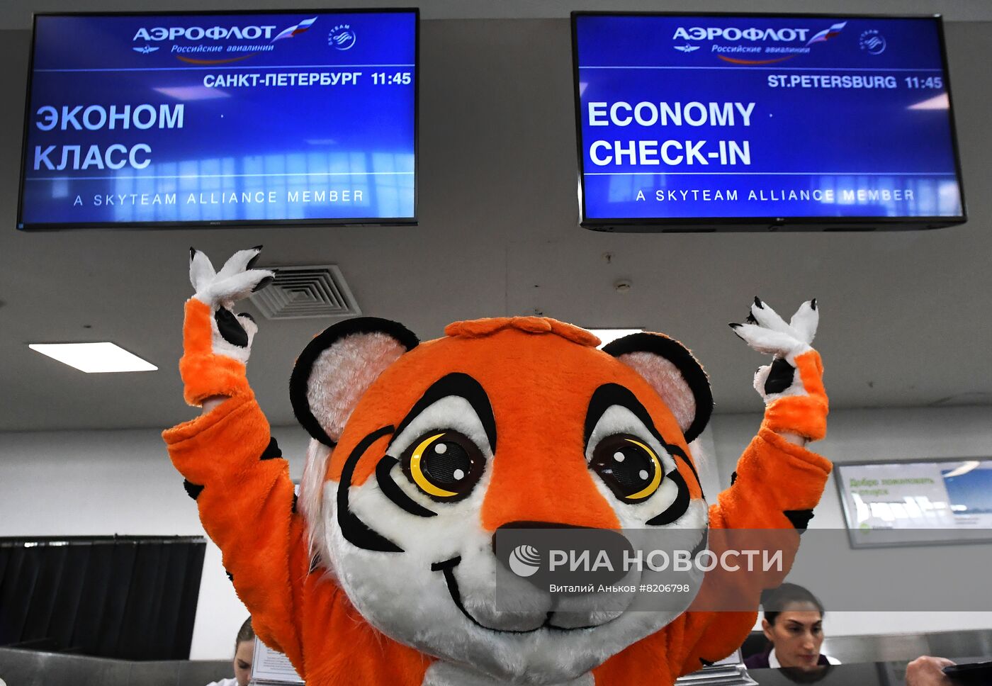 Запуск прямых рейсов из Владивостока в Санкт-Петербург компанией "Аэрофлот"