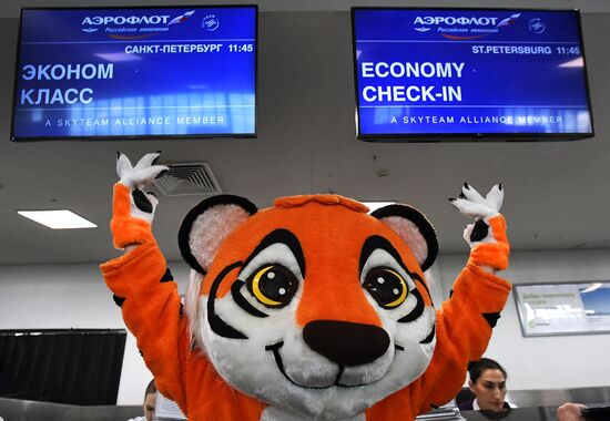 Запуск прямых рейсов из Владивостока в Санкт-Петербург компанией "Аэрофлот" 