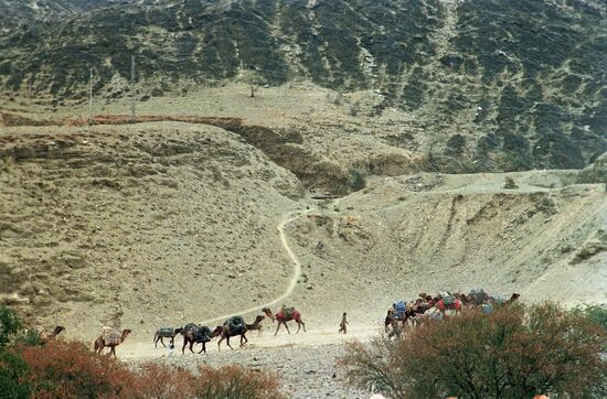 Караванный путь близ города Торхам в Пакистане