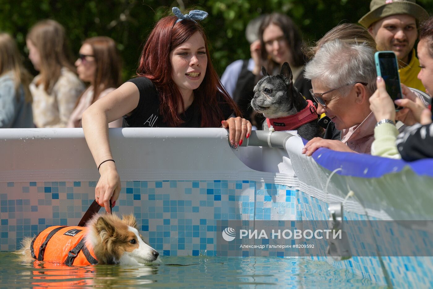 Фестиваль домашних животных Petshop days в Санкт-Петербурге | РИА Новости  Медиабанк