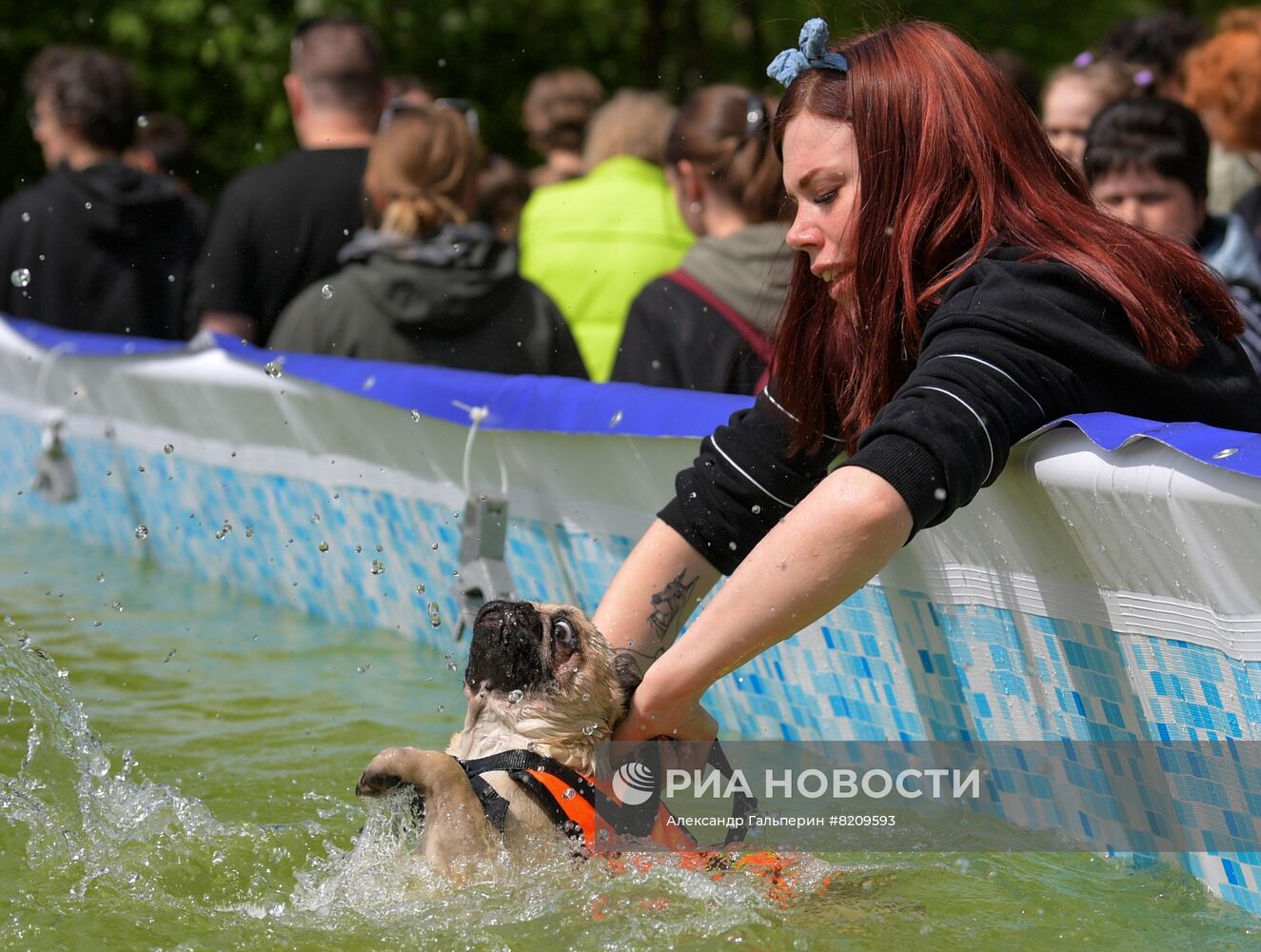 Фестиваль домашних животных Petshop days в Санкт-Петербурге