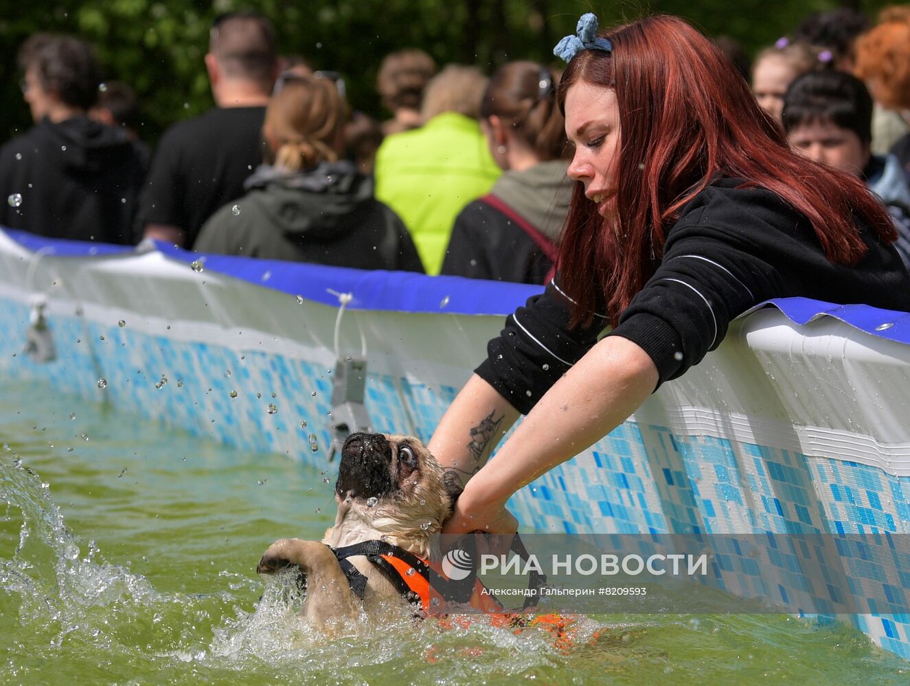 Фестиваль домашних животных Petshop days в Санкт-Петербурге | РИА Новости  Медиабанк