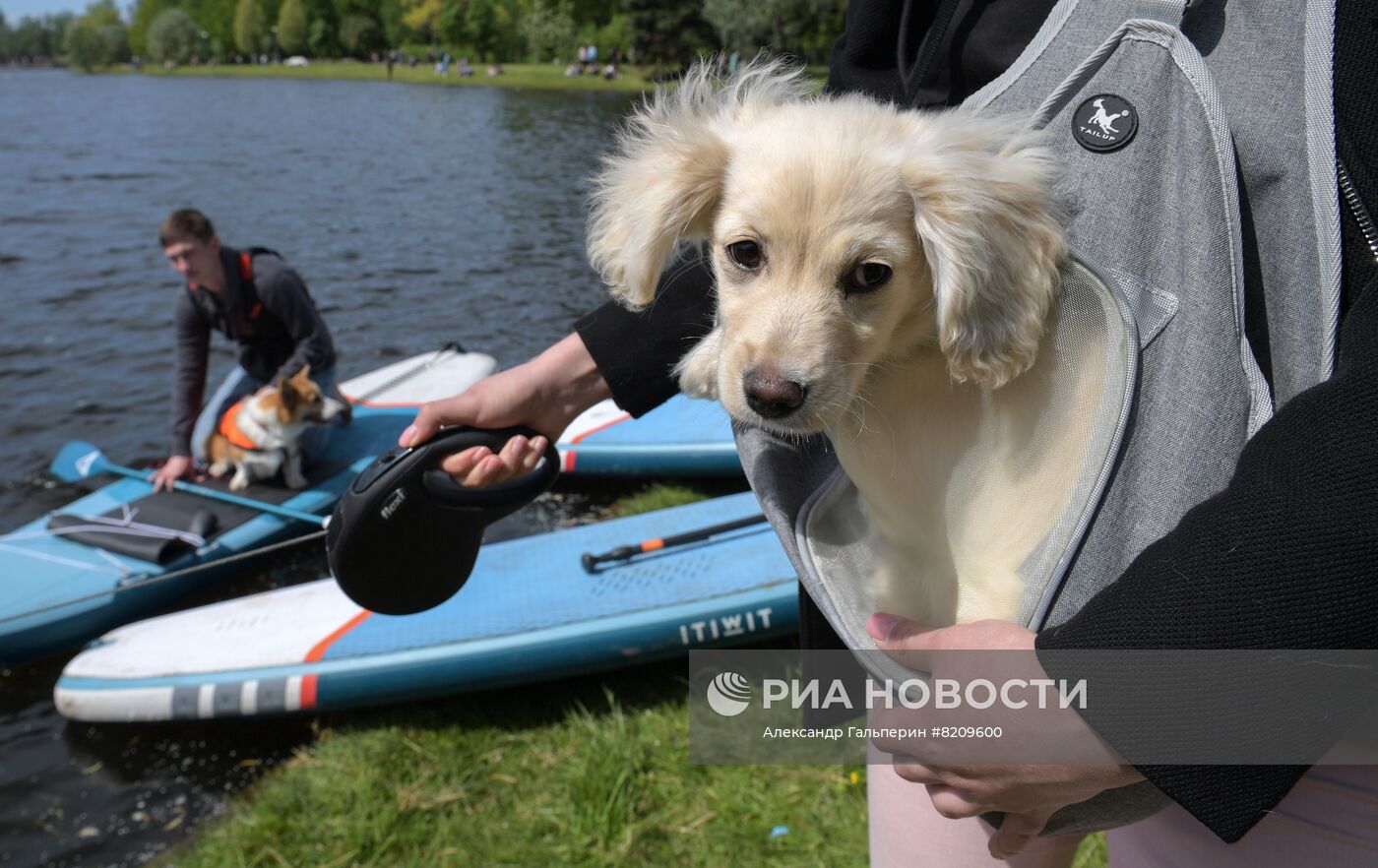 Фестиваль домашних животных Petshop days в Санкт-Петербурге