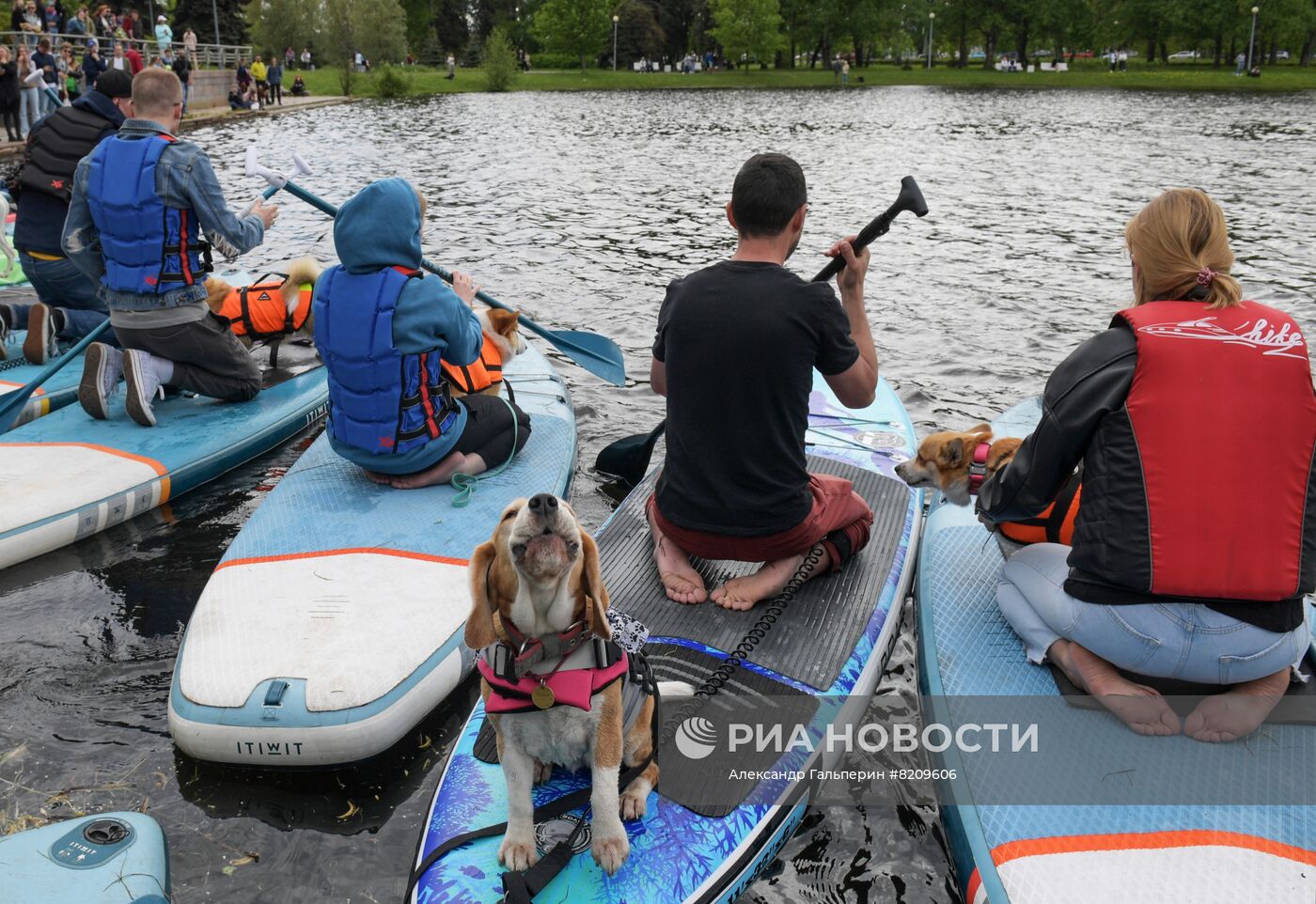 Фестиваль домашних животных Petshop days в Санкт-Петербурге