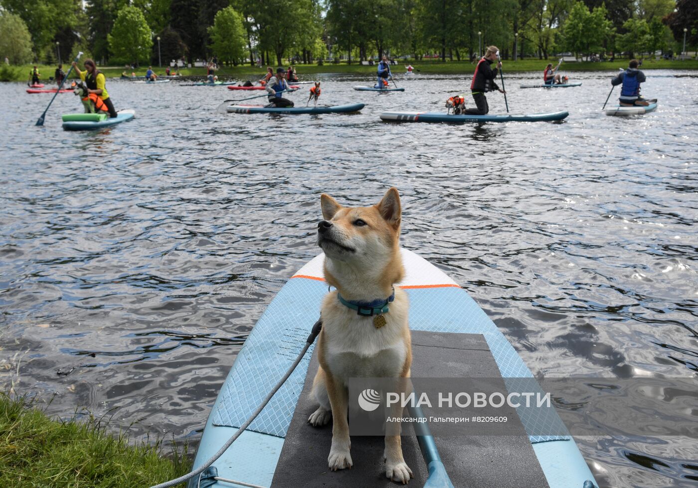 Фестиваль домашних животных Petshop days в Санкт-Петербурге