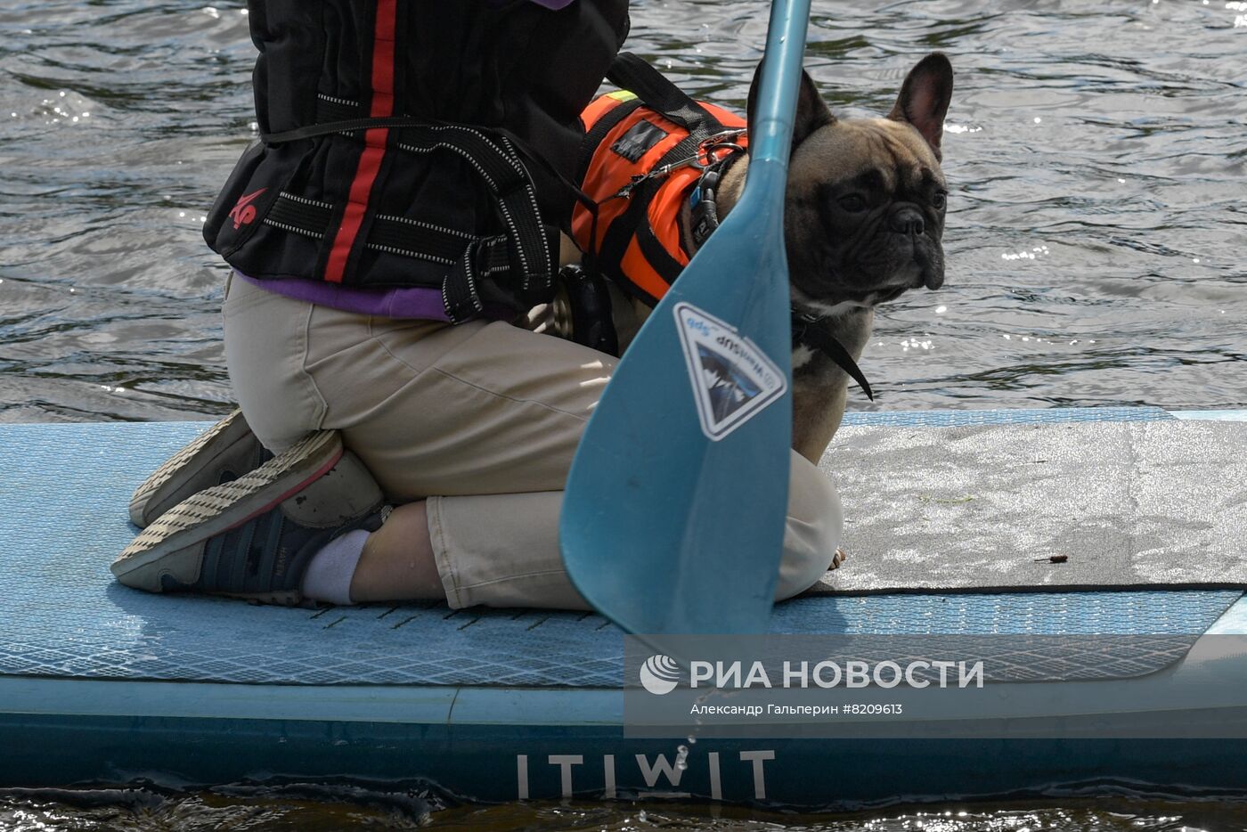 Фестиваль домашних животных Petshop days в Санкт-Петербурге