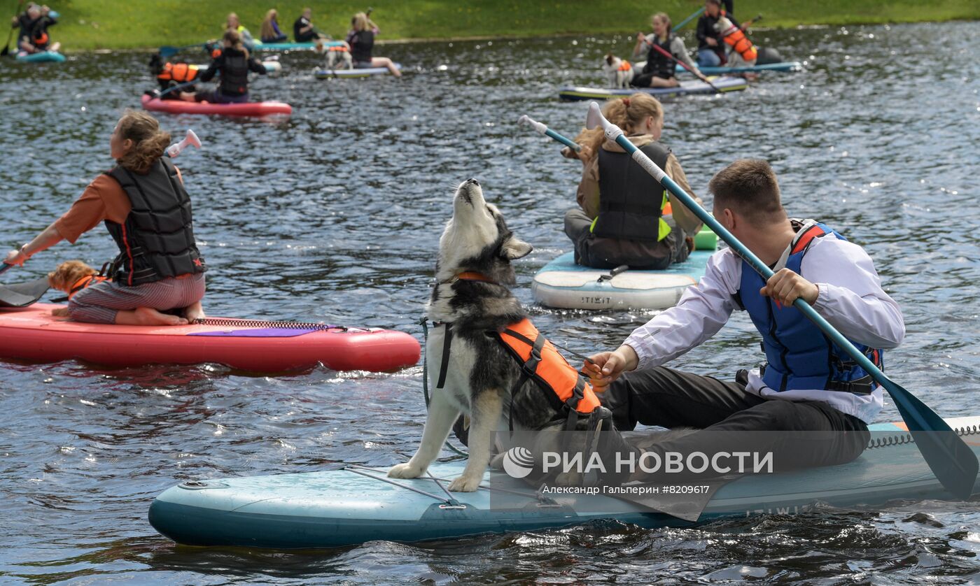 Фестиваль домашних животных Petshop days в Санкт-Петербурге