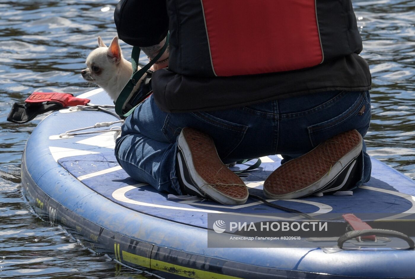 Фестиваль домашних животных Petshop days в Санкт-Петербурге