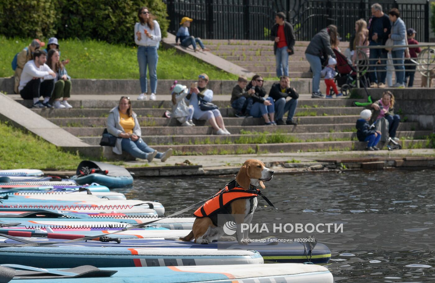 Фестиваль домашних животных Petshop days в Санкт-Петербурге