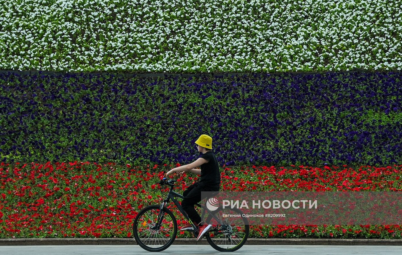 Парк Победы украсили петуньями в цветах российского триколора ко Дню России