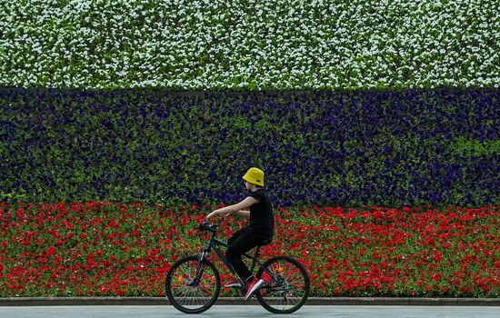 Парк Победы украсили петуньями в цветах российского триколора ко Дню России
