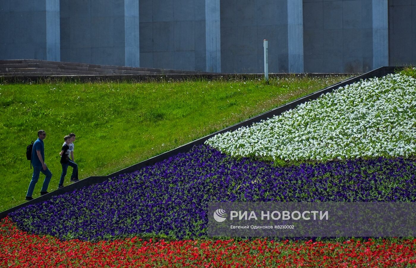 Парк Победы украсили петуньями в цветах российского триколора ко Дню России