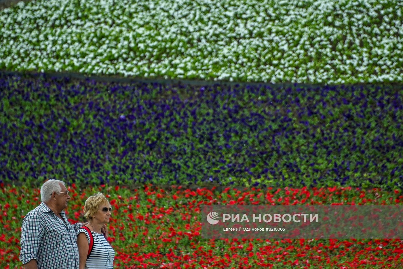 Парк Победы украсили петуньями в цветах российского триколора ко Дню России