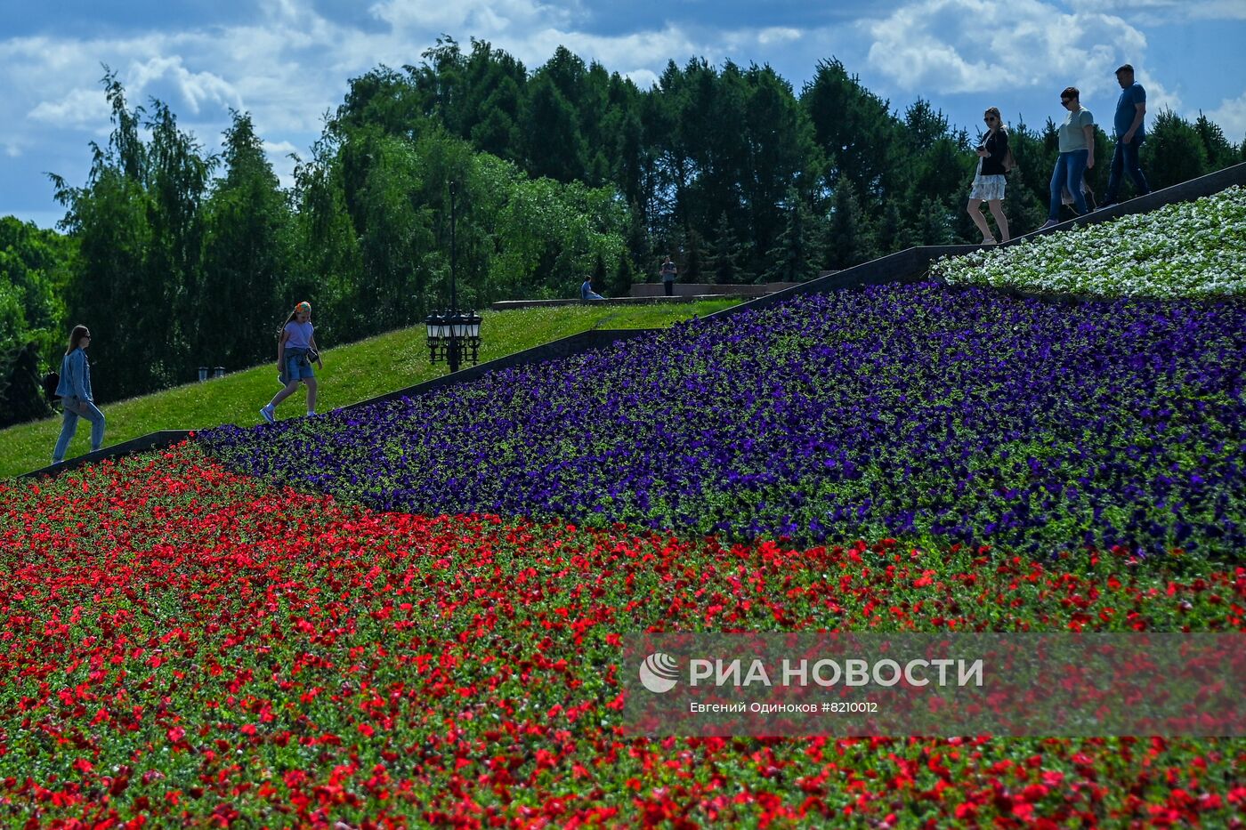 Парк Победы украсили петуньями в цветах российского триколора ко Дню России