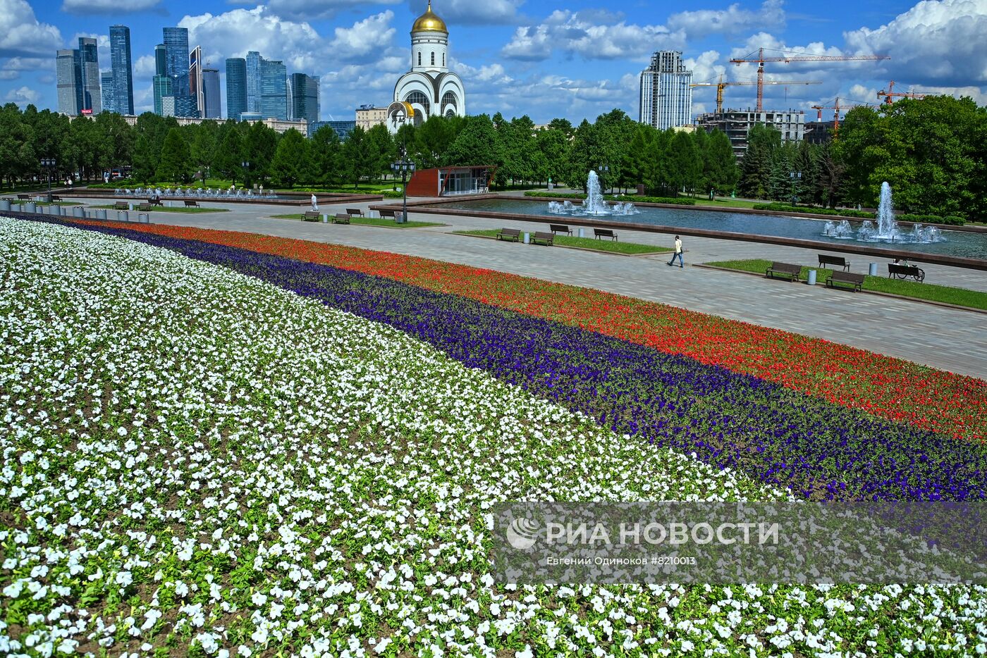 Парк Победы украсили петуньями в цветах российского триколора ко Дню России