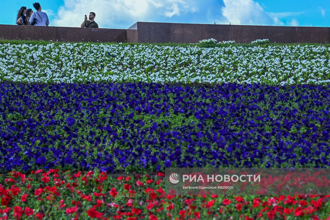 Парк Победы украсили петуньями в цветах российского триколора ко Дню России