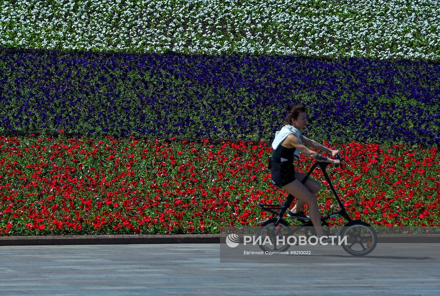 Парк Победы украсили петуньями в цветах российского триколора ко Дню России