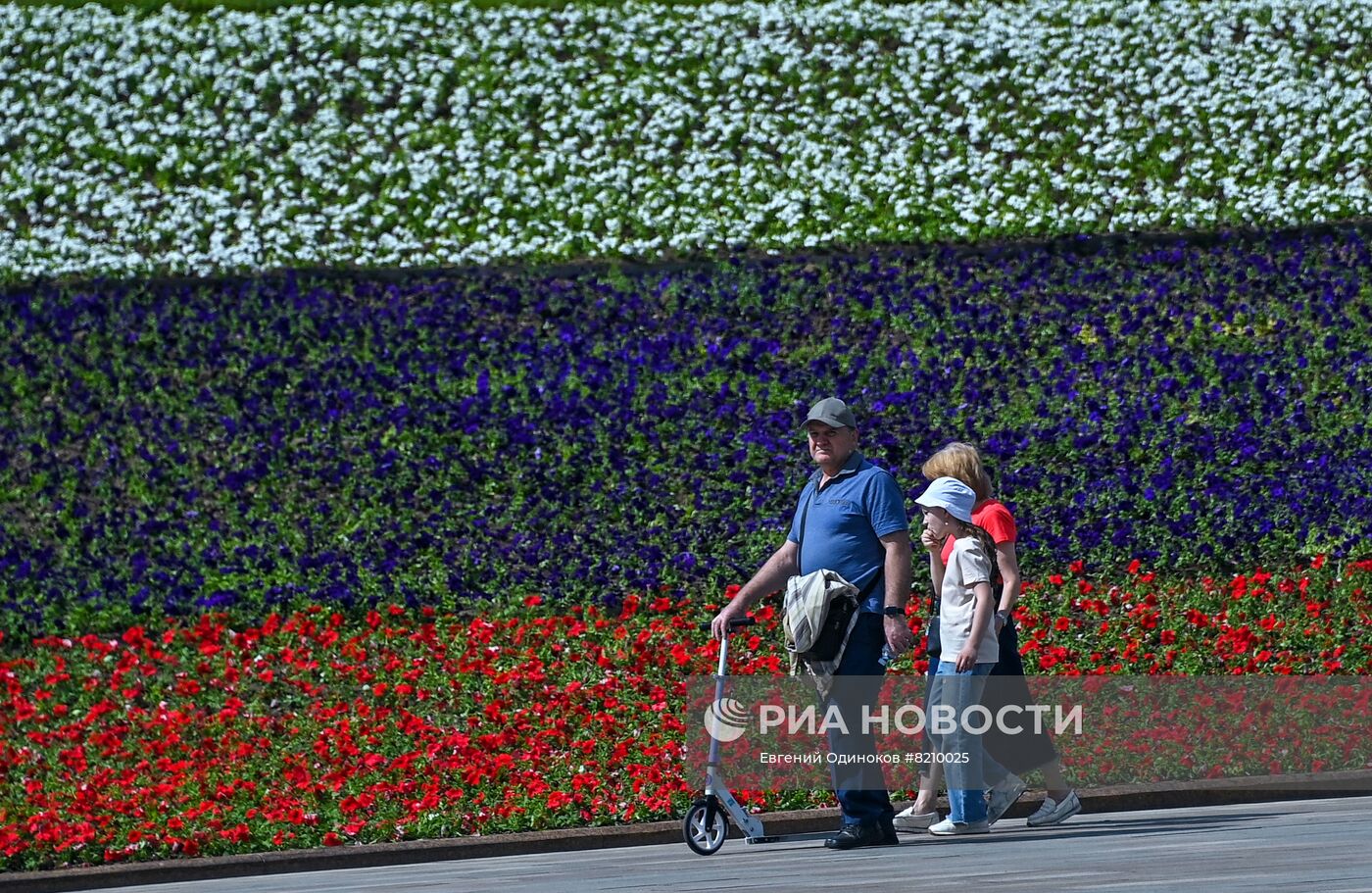 Парк Победы украсили петуньями в цветах российского триколора ко Дню России