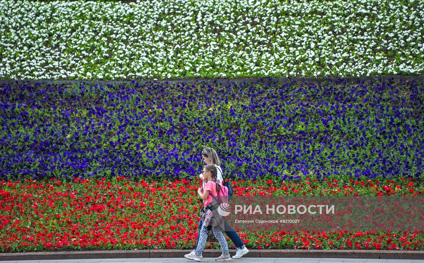 Парк Победы украсили петуньями в цветах российского триколора ко Дню России