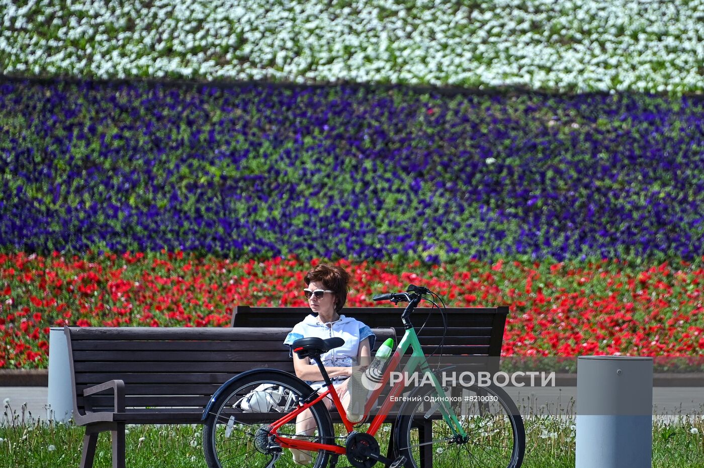 Парк Победы украсили петуньями в цветах российского триколора ко Дню России