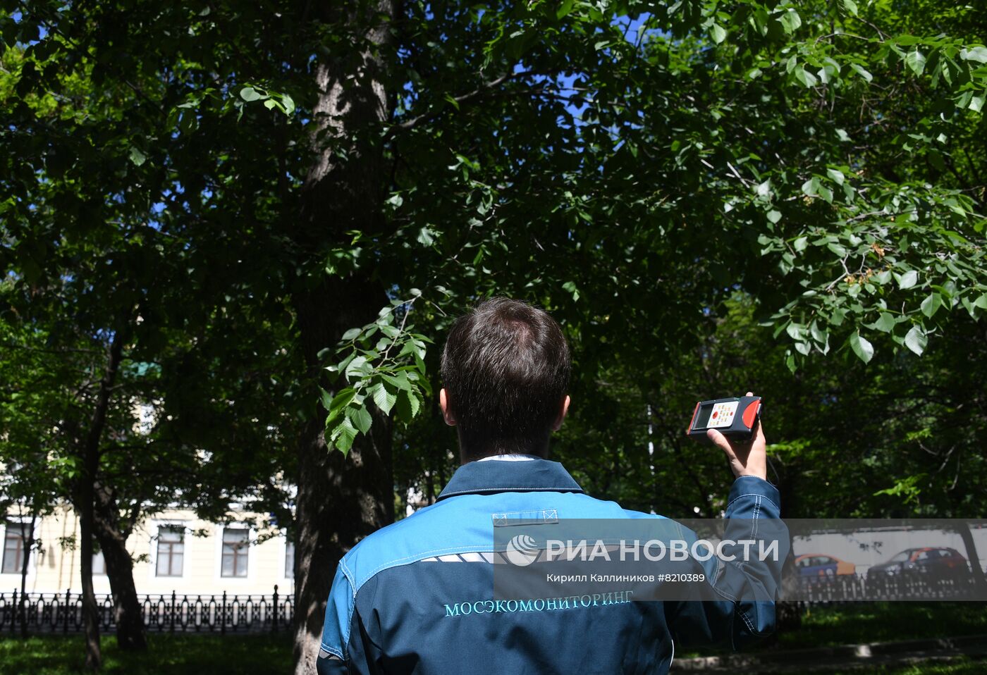 Мониторинг зеленых насаждений в Москве