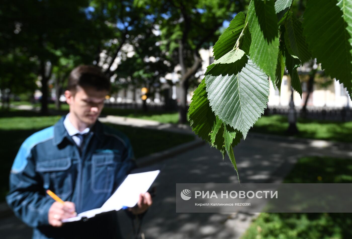 Мониторинг зеленых насаждений в Москве 