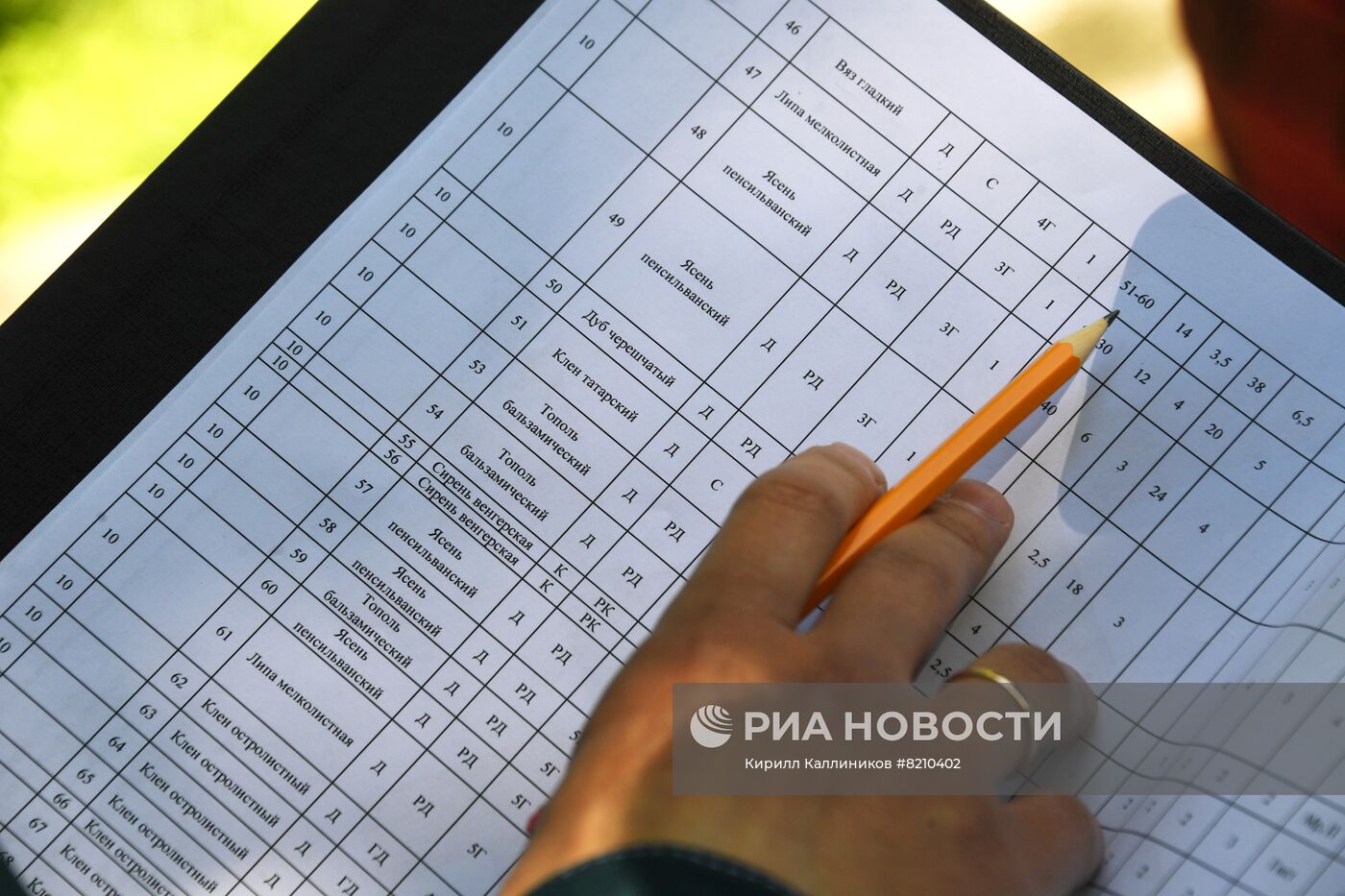 Мониторинг зеленых насаждений в Москве