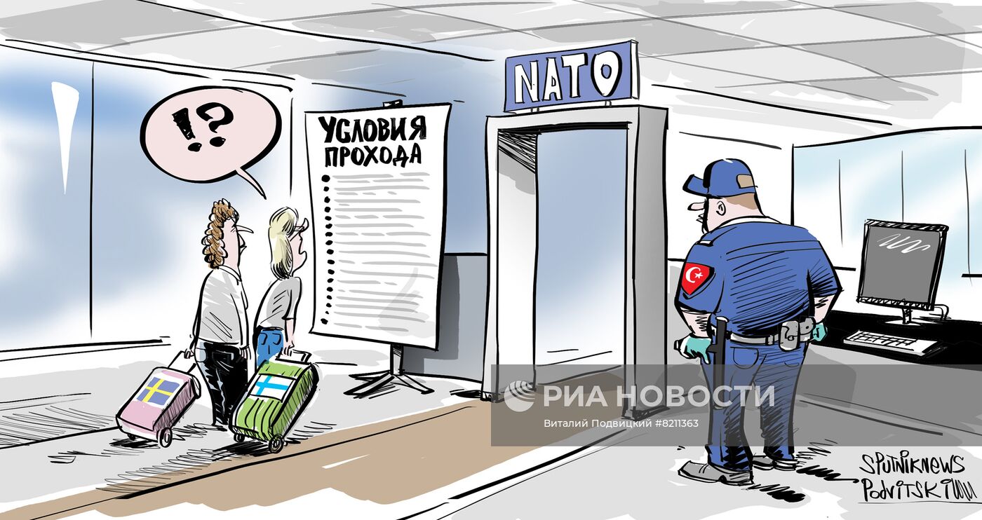 Турция поставила 10 условий Швеции и Финляндии по членству в НАТО
