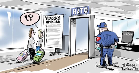 Турция поставила 10 условий Швеции и Финляндии по членству в НАТО