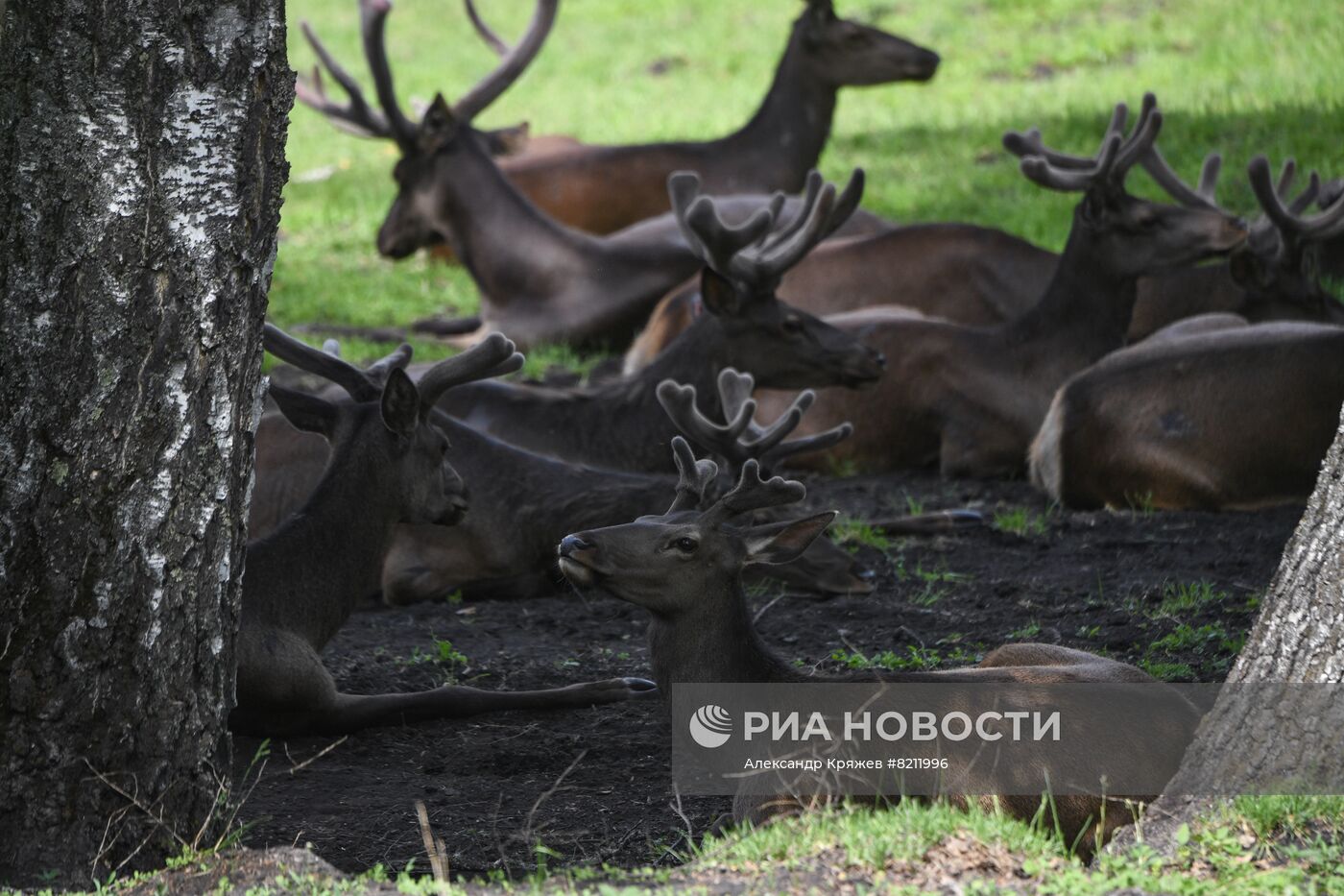 #ОткрываяРоссию. Республика Алтай