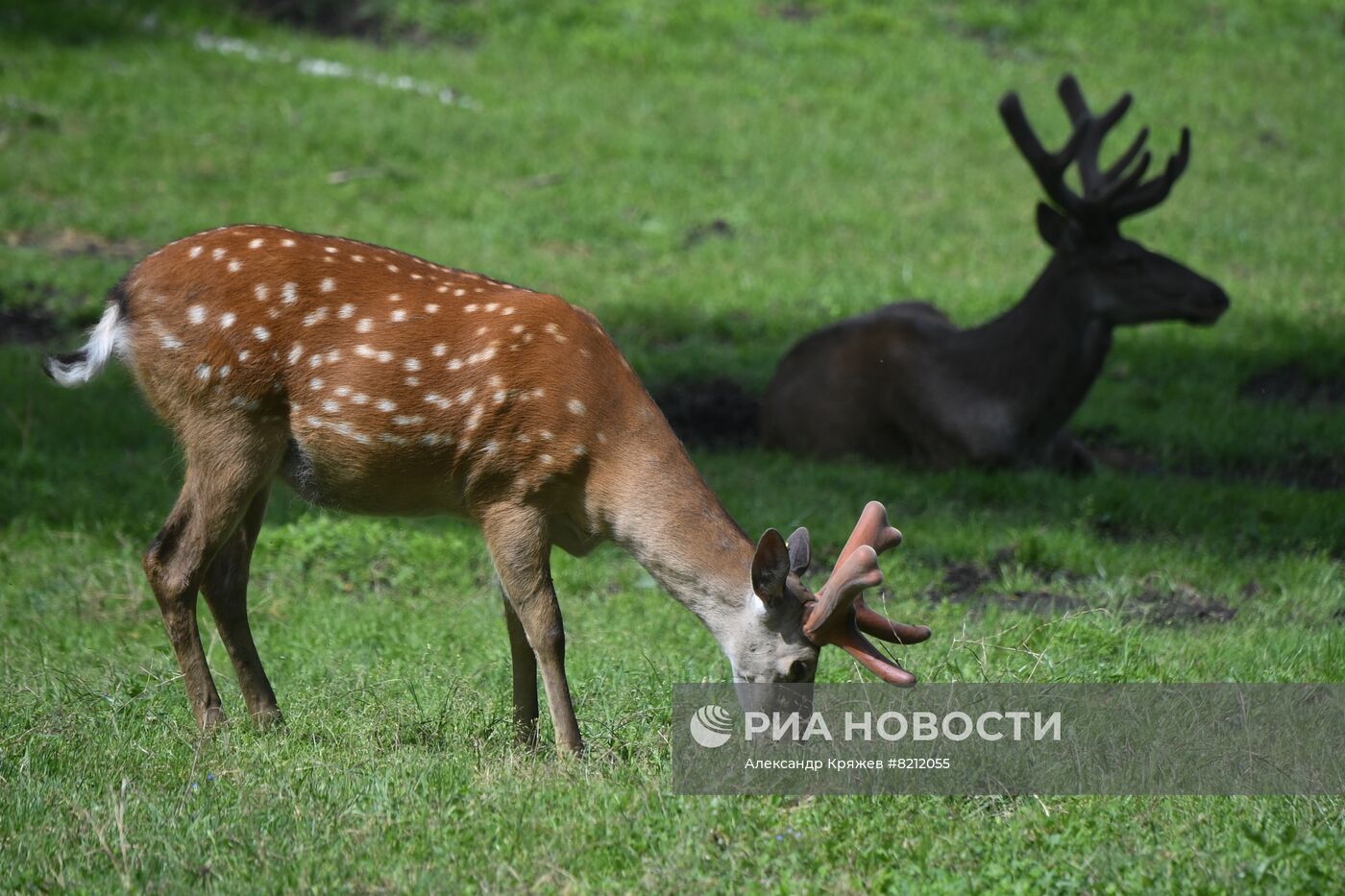 #ОткрываяРоссию. Республика Алтай