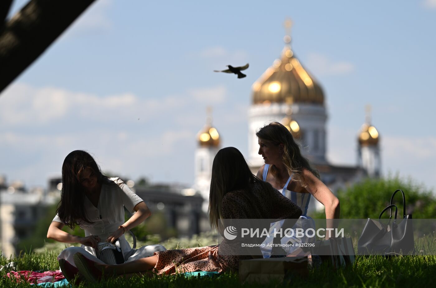 Теплая погода в Москве