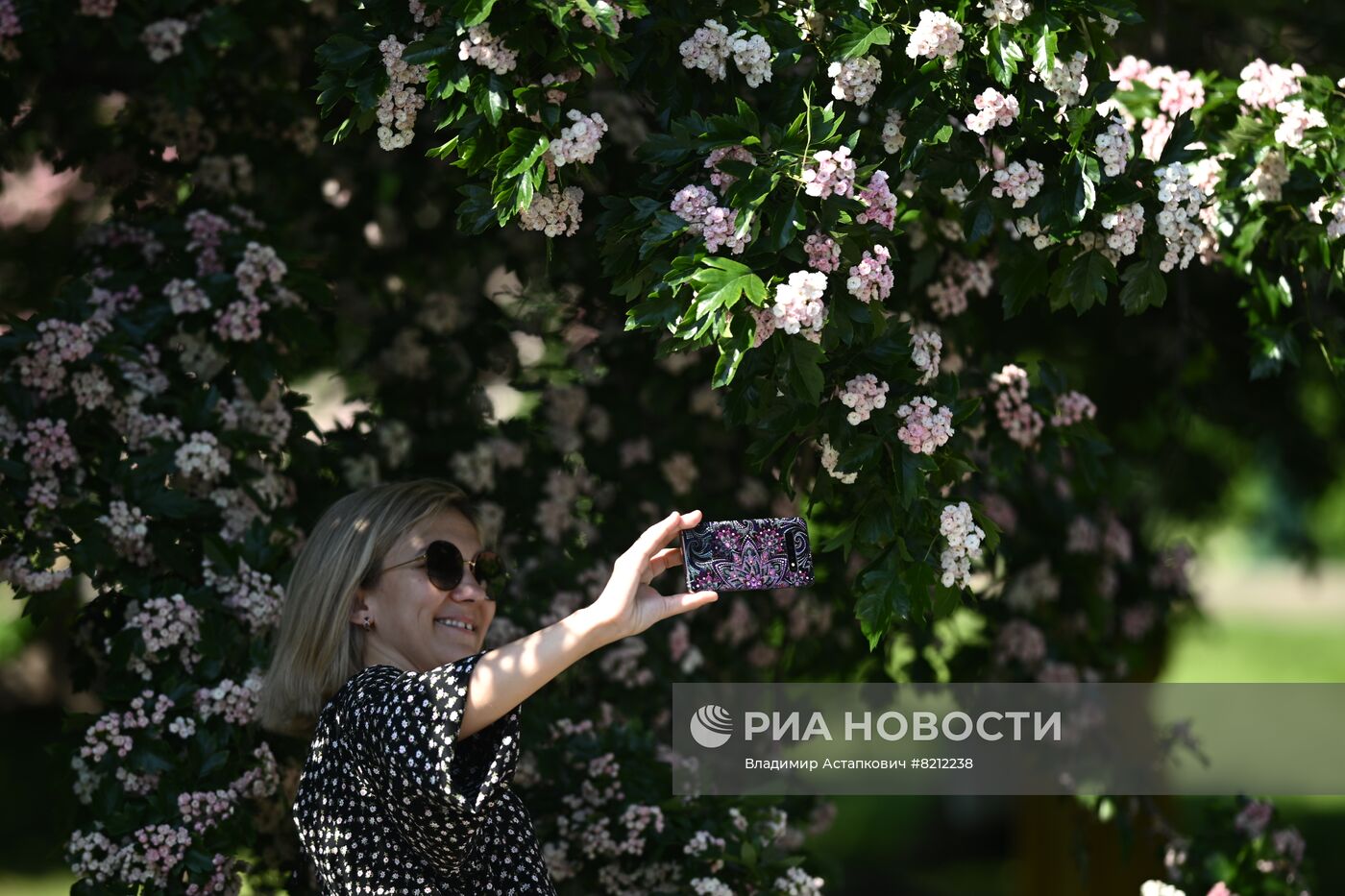 Тёплая погода в Москве