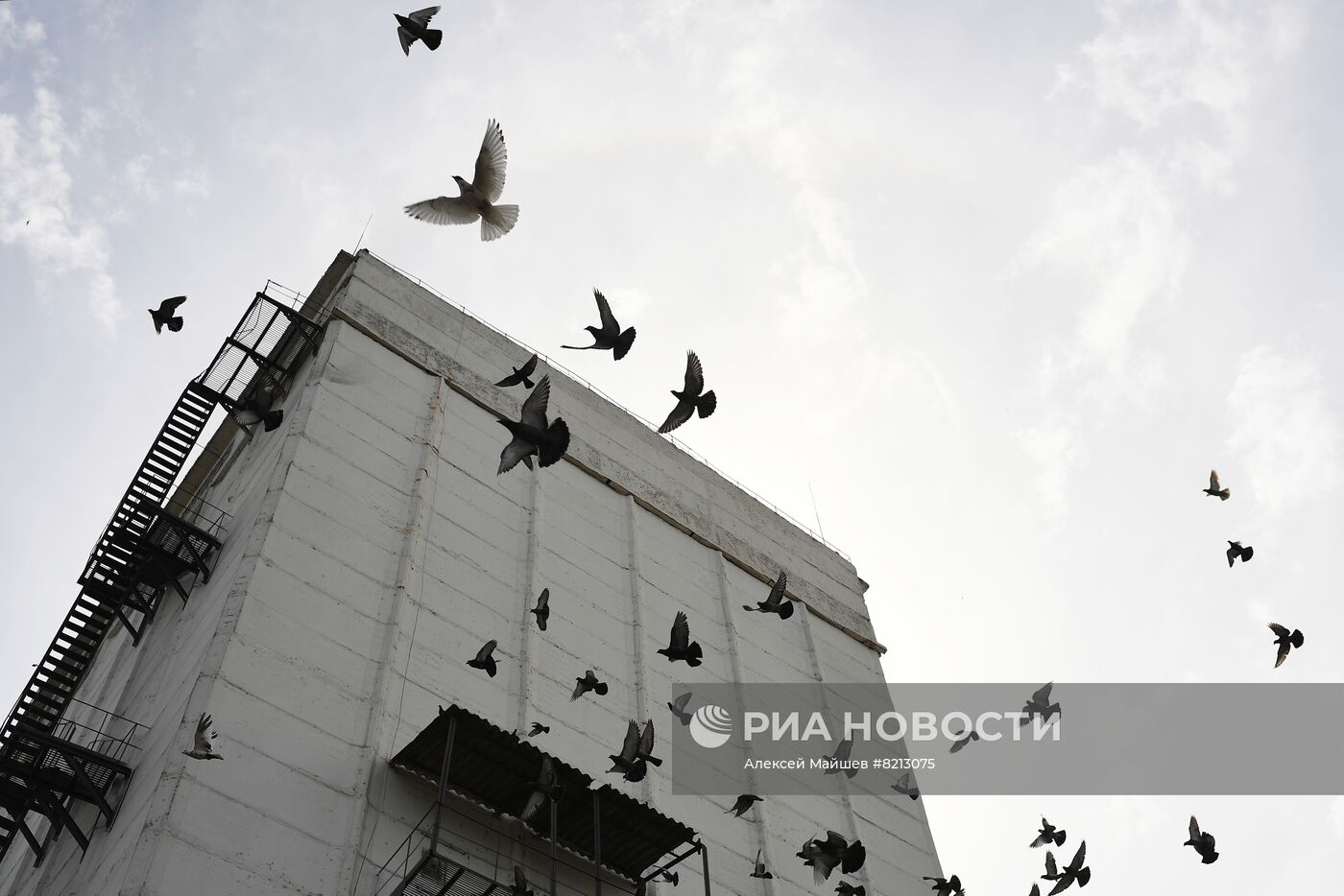 Предприятие "Мелитопольский элеватор"