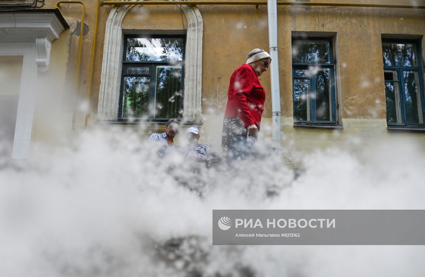 Тополиный пух в Омске