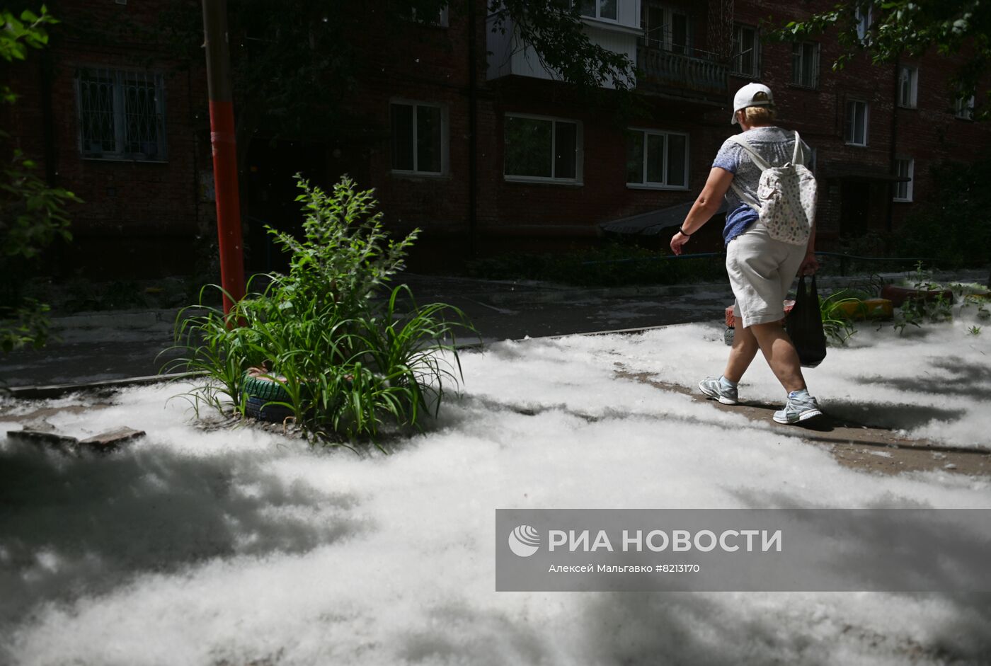 Тополиный пух в Омске