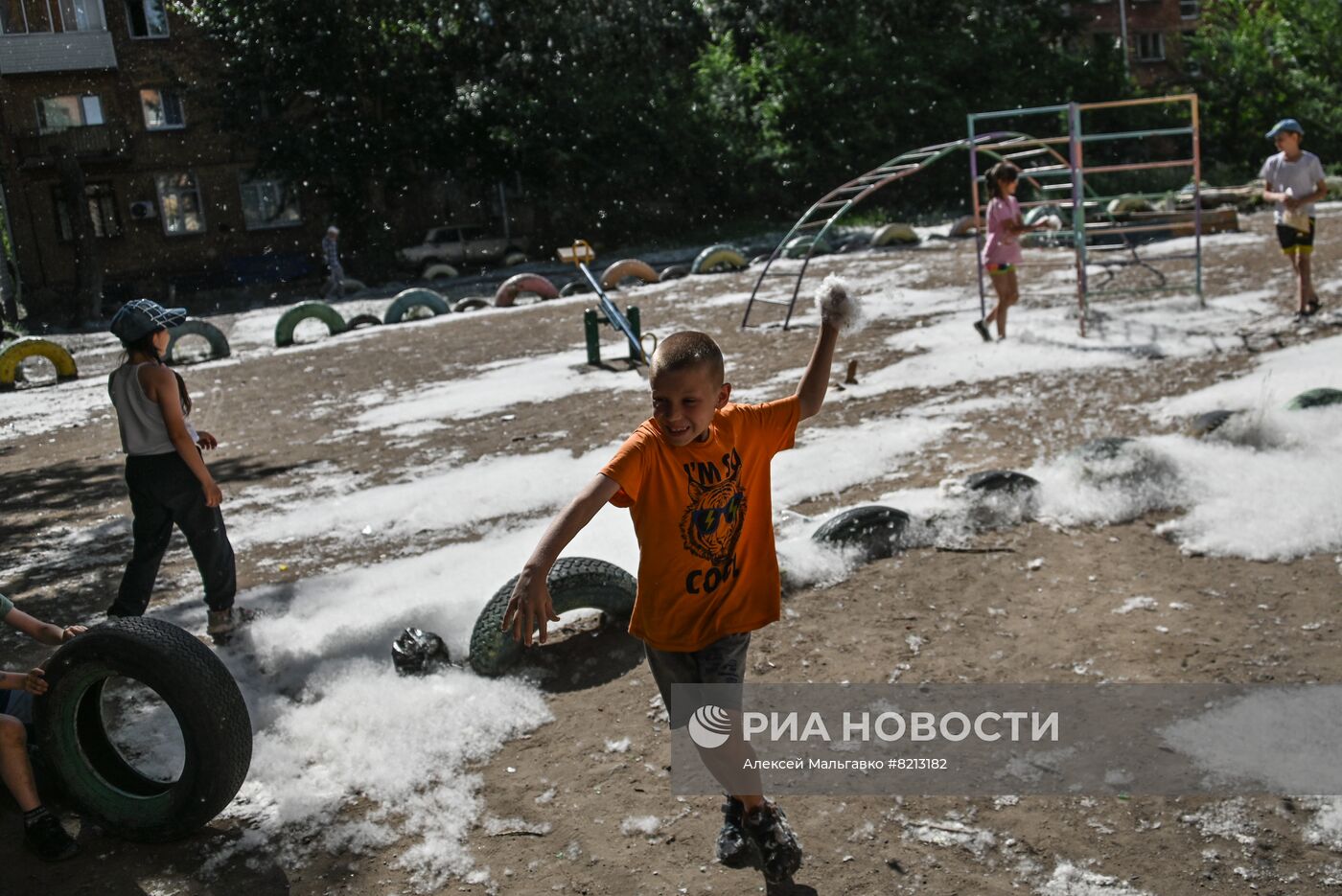 Тополиный пух в Омске