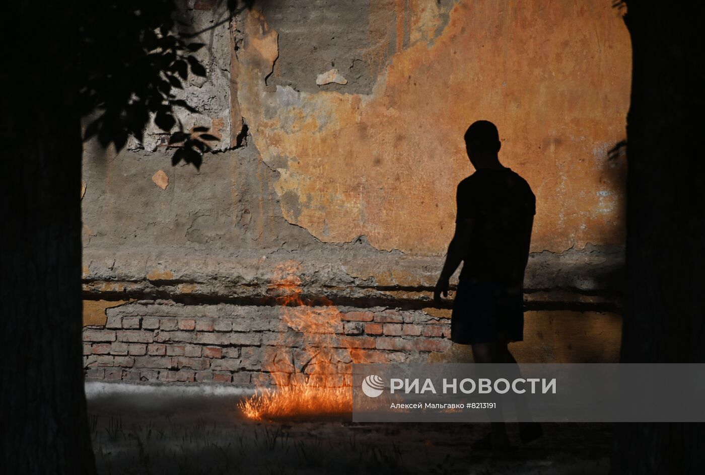 Тополиный пух в Омске