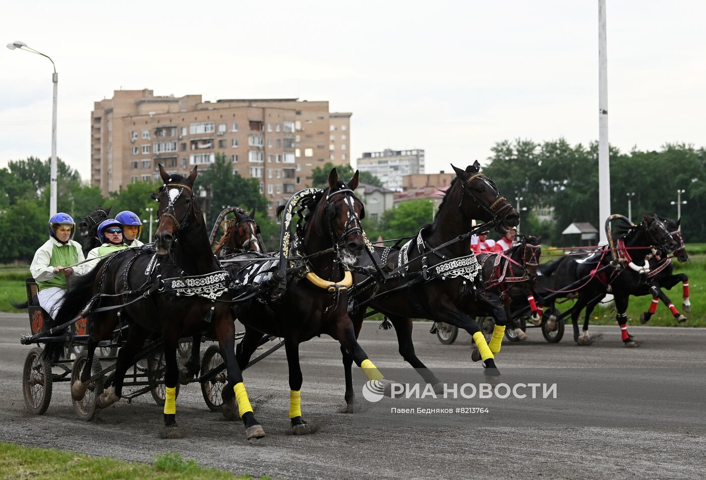 Заезды русских троек на Московском ипподроме