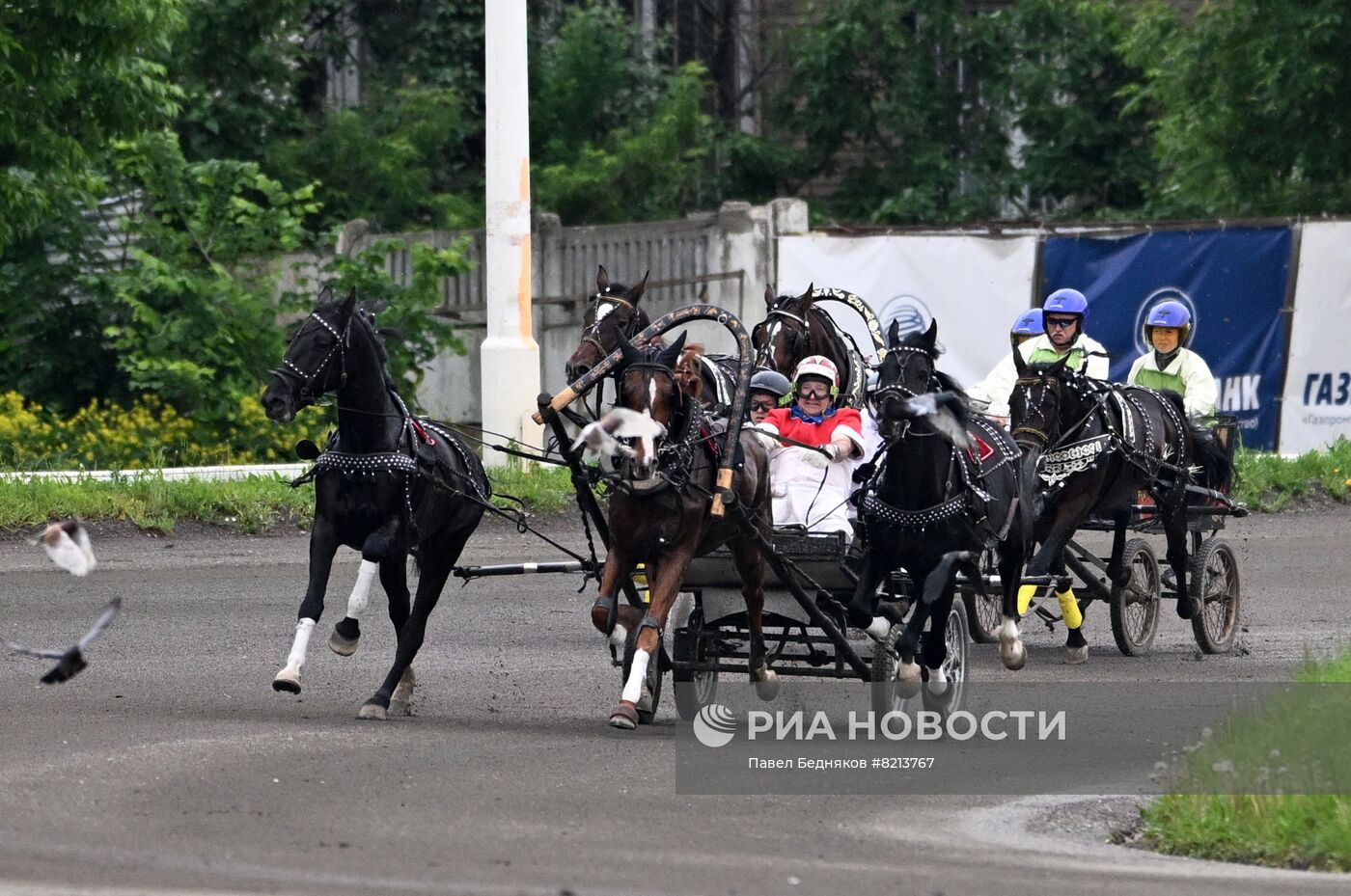 Заезды русских троек на Московском ипподроме