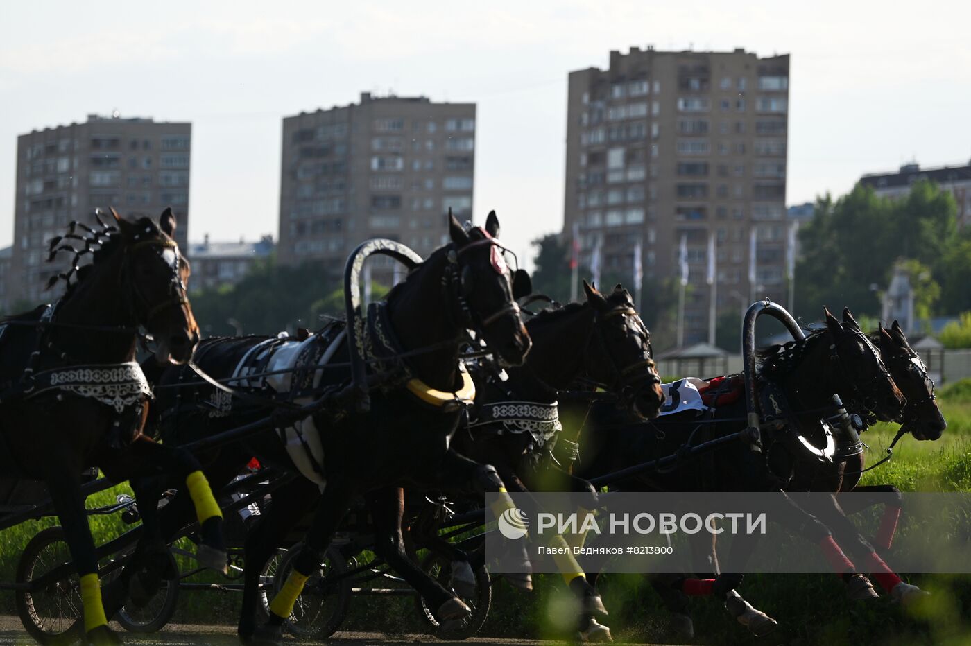 Заезды русских троек на Московском ипподроме