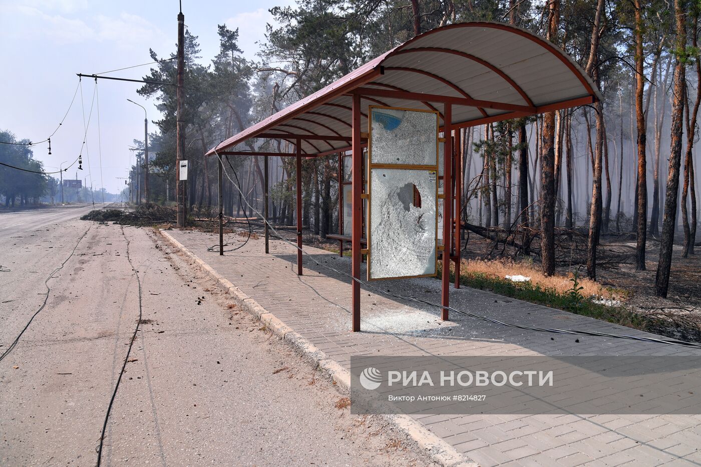 Городские кварталы Северодонецка в ЛНР после освобождения