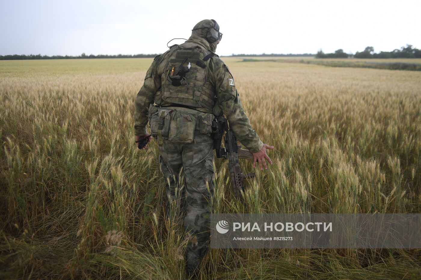 Пшеничное поле в Мелитопольском районе Запорожской области